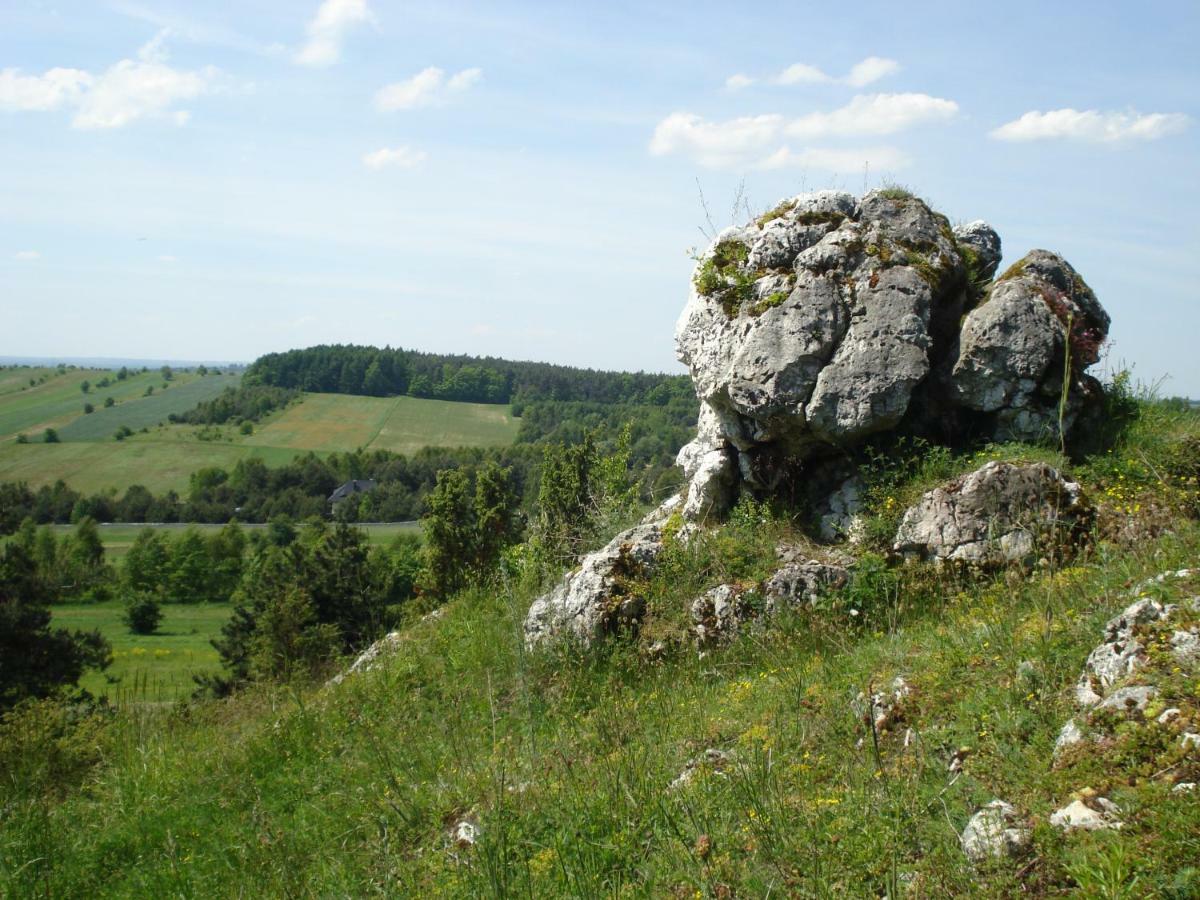 Villa Jura Pokoje Goscinne Zarki Extérieur photo